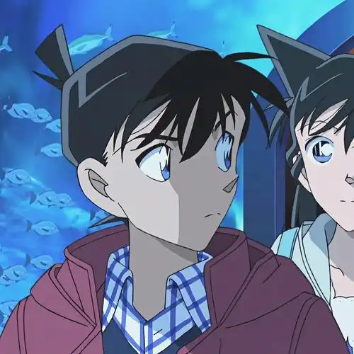 我是个柯南迷  #名柯  #新兰  #情侣头像