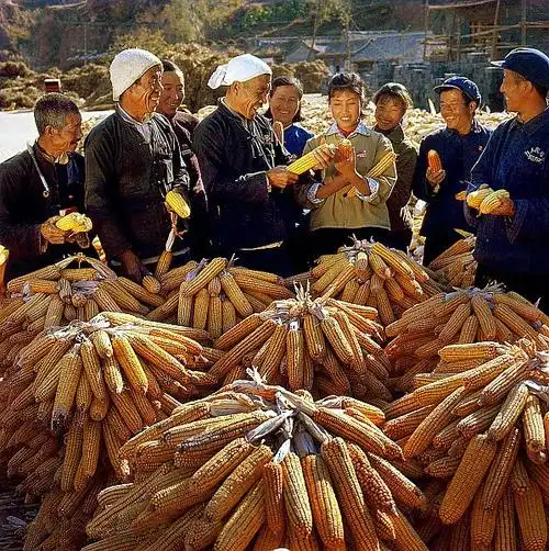 【转载】老照片:茹遂初拍摄的新中国人民社会生活影像 - 石木水月的