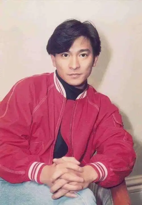 刘德华年轻最帅图片,刘德华图片最帅的图片-图片大观-奇异网