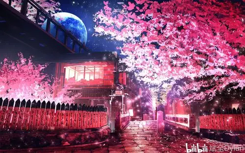 pixiv|p站美图壁纸分享【樱花与星空】