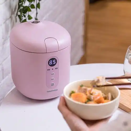 菜菜家mini电饭煲|1人也吃得精致,做饭香可预约