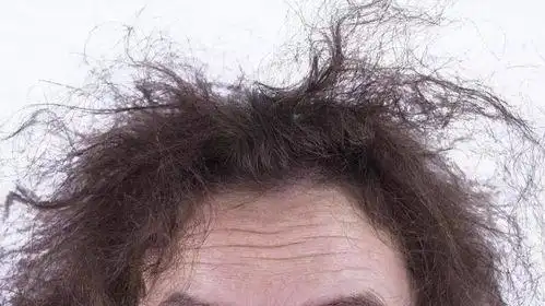 沙发指的是什么发质?