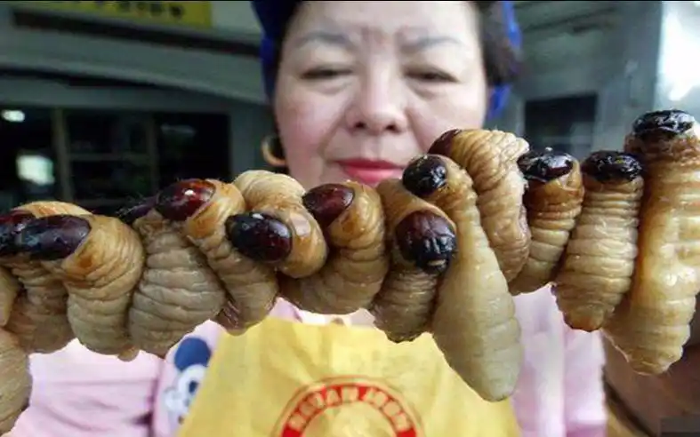 老外呼吁72亿人吃"蛆",称为保护环境,看着恶心你敢下口吗?