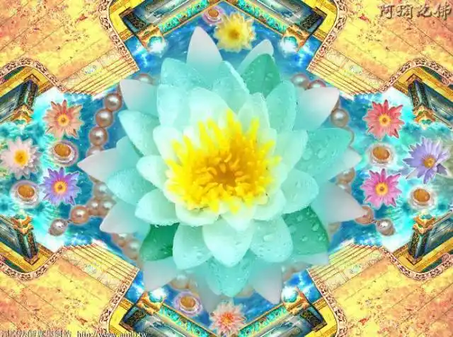 我要随缘 清净无瑕朵朵莲花开在 弥陀的脚下我要自在 念佛回家七宝池