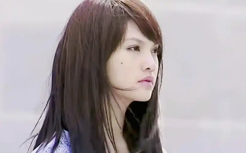 【杨丞琳】海派甜心陈宝珠颜向剪辑|就算全世界的恶意都指向我也无妨