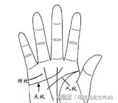 通过,我们在说一个人是否长寿时,都会先看他的"生命线".
