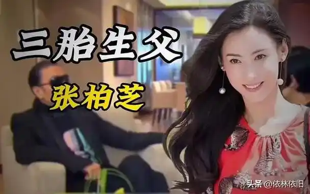 谢贤不慎说漏嘴张柏芝三胎生父浮出水面谢家父子知情已久