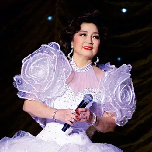 徐小凤-说不出假说话