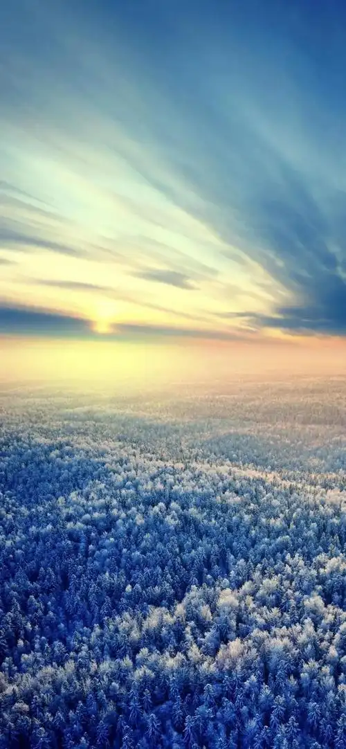 全面屏壁纸超好看