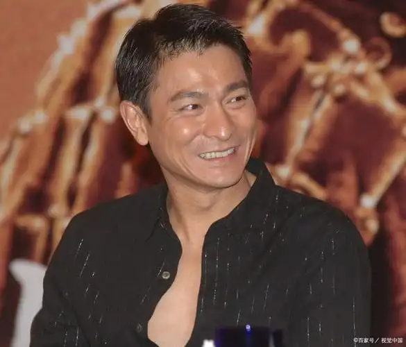 追求卓越的魅力之星——刘德华