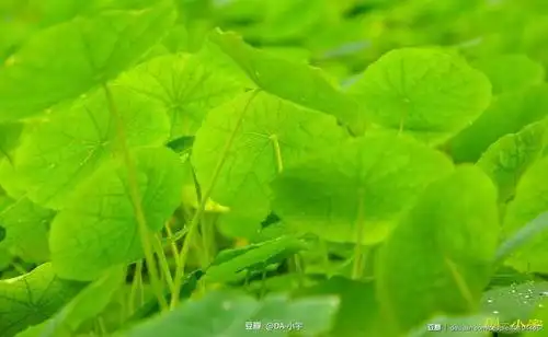 da-小宇的相册-行行摄摄