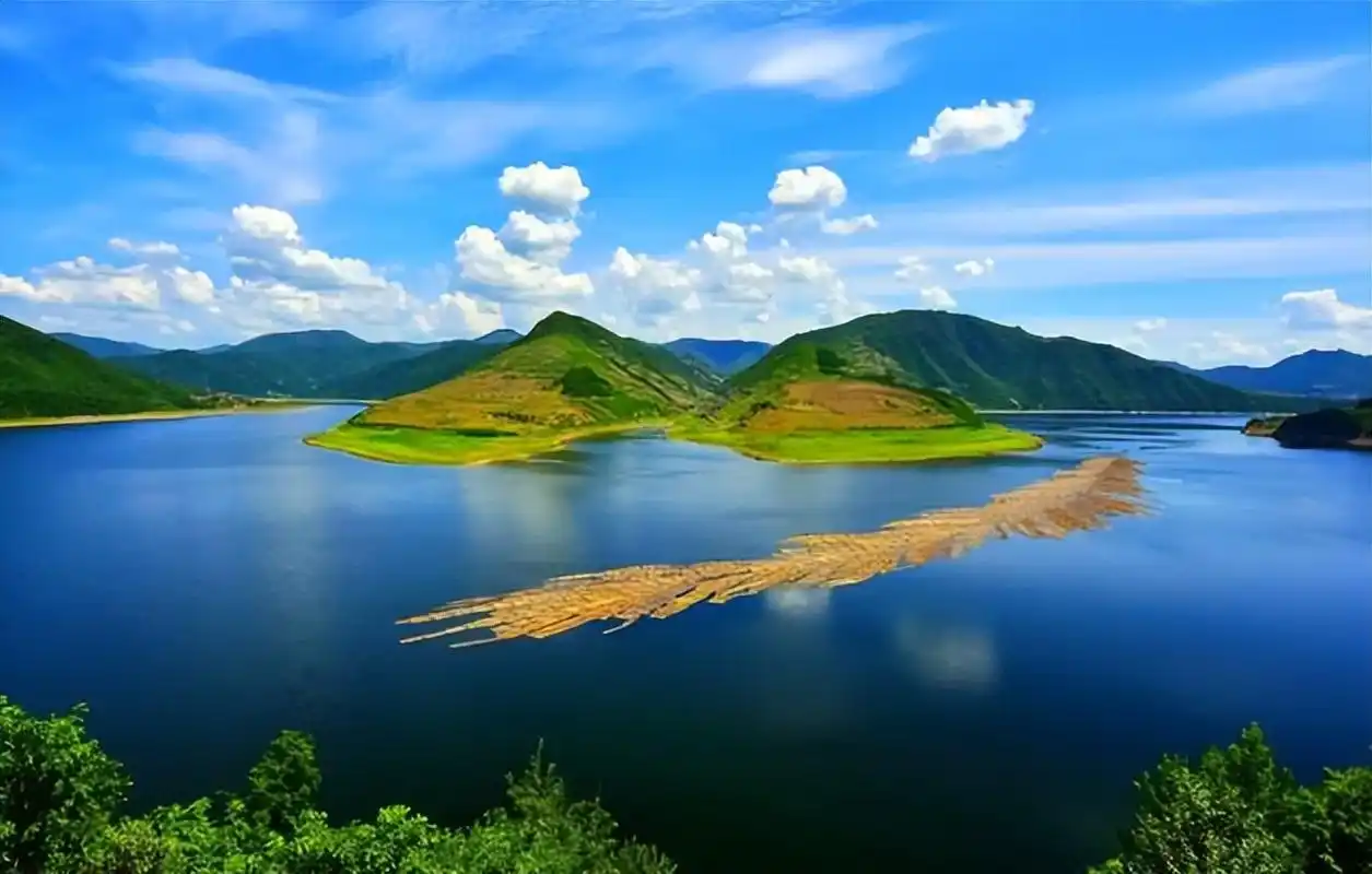 2026年农安成人高考大专报名流程