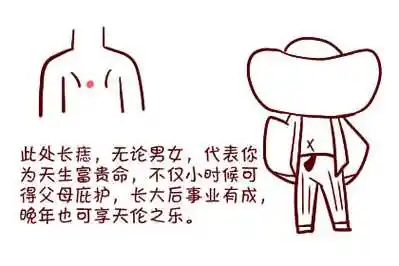 痣相图解:后背痣的位置与命运图