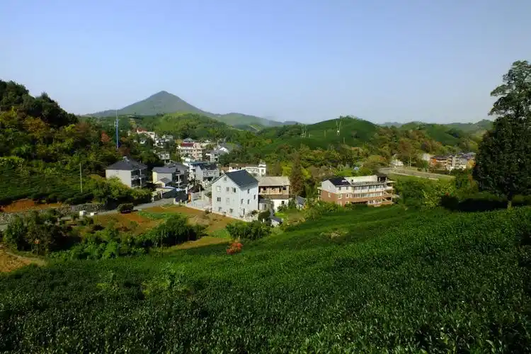 美丽山村(枫岭村)-风景照-19摄区-杭州19楼