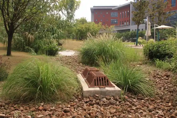 西咸新区:建筑废料打造出海绵城市景观"雨水花园"