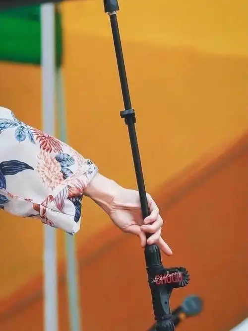 华晨宇的手好绝