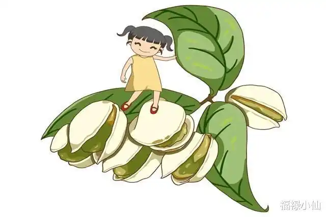 具有开心果体质的3个属相女,笑口常开,给人快乐,福气深厚