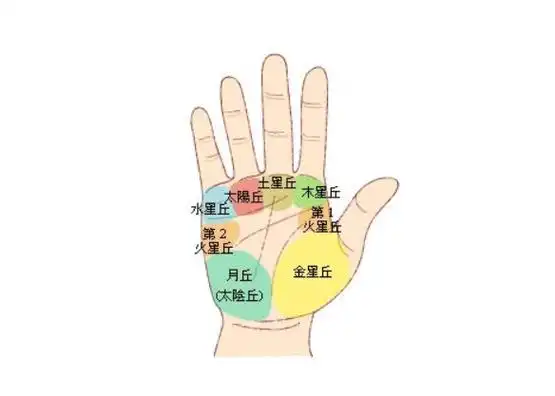 事实上,断掌是手掌中的一种说法.根据手掌,会有断掌的概念.