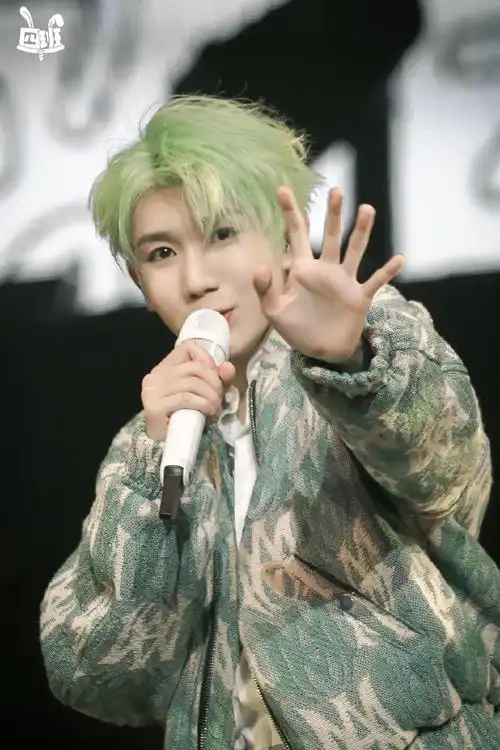 王源客厅狂欢巡演##王源染了绿发