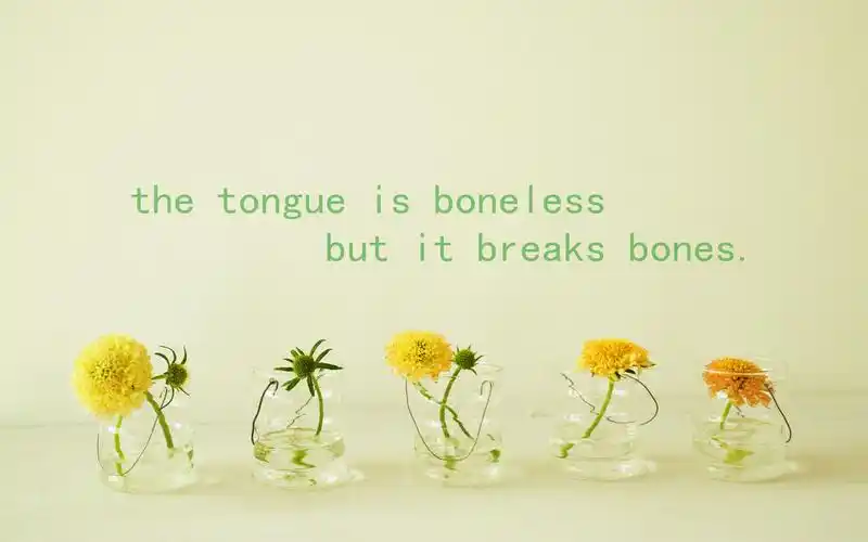 文艺唯美励志风景高清宽屏壁纸