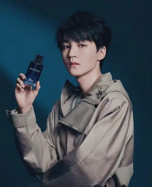 王俊凯dior旷野男香新片,干净清冷的俊逸少年