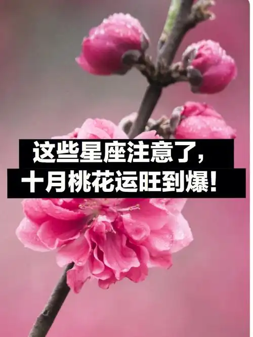 这些星座注意了十月桃花运旺到爆