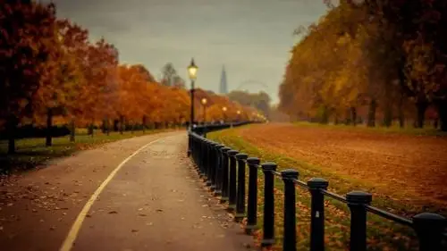 秋日物语复古怀旧风格唯美风景全高清电脑桌面壁纸