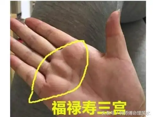 手相:有"此纹",人中之龙,早年贫困,中年后必定是大老板