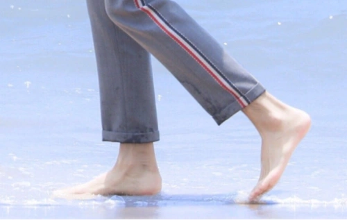 周易协会_名人名家|名人|伟人|著名人物|名人故事