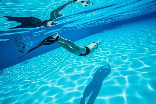 男子6在游泳池游泳与monofin