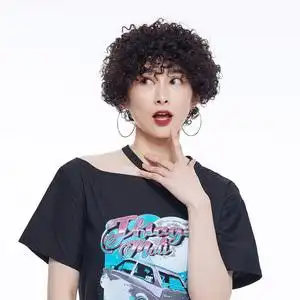 正品真人发丝爆炸头小卷发聚会女王变妆减龄蓬松短发全头套假发