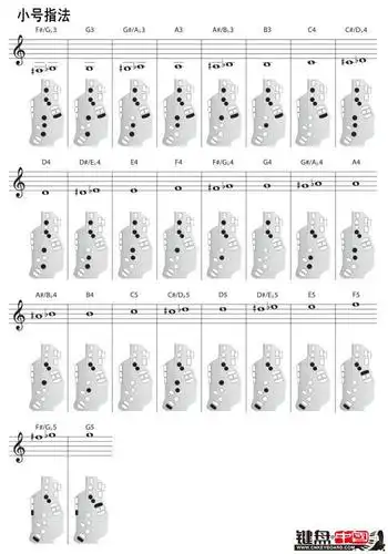 小号指法.jpg