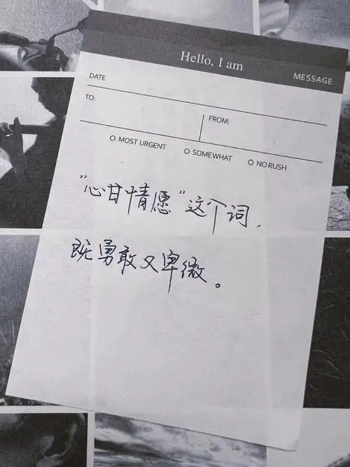 心甘情愿这个词既勇敢又卑微