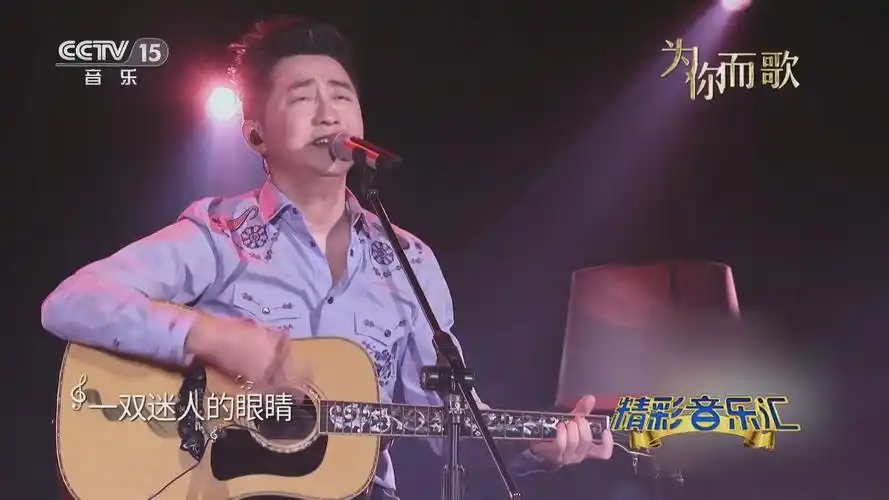 [精彩音乐汇]歌曲《情非得已》 演唱:庾澄庆