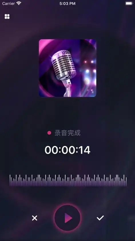 炫音变声器app苹果版v10