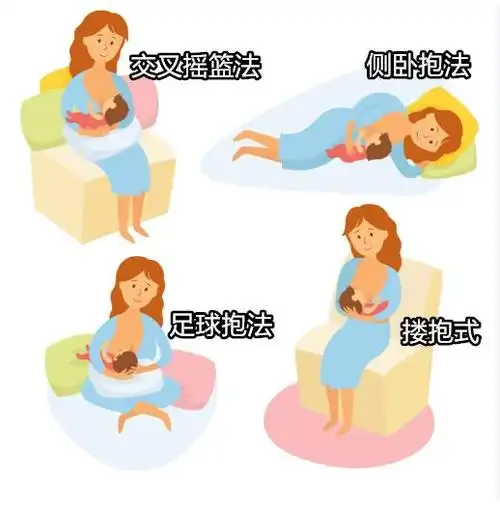 正确的姿势有搂抱式,交叉摇篮法,足球抱法,侧卧抱法几种.