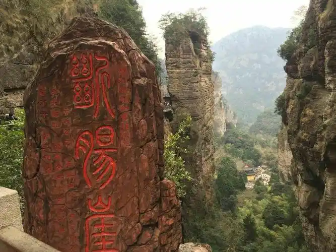 断肠崖上叹绝情,绝情谷底哭断肠