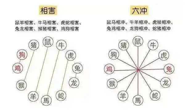 风水说:十二生肖的五行相生相克_生肖_看八字