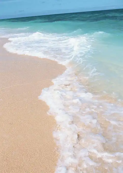 与活跃好动的海浪形成鲜明对比的沙滩高清图片下载