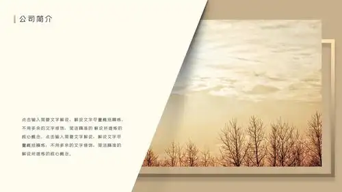 高端大气金色立体风公司商业融资计划书ppt模板