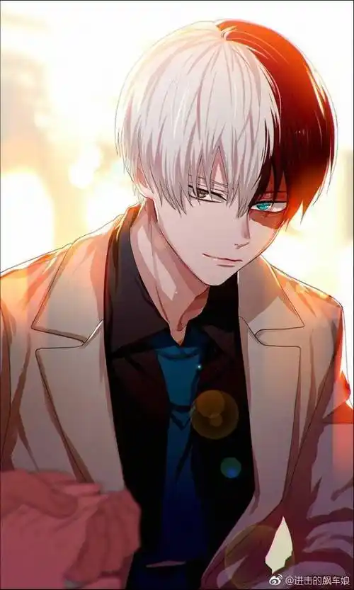 我的英雄学院轰焦冻