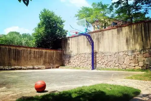 野墅派欧洲庄园畅玩别墅篮球场