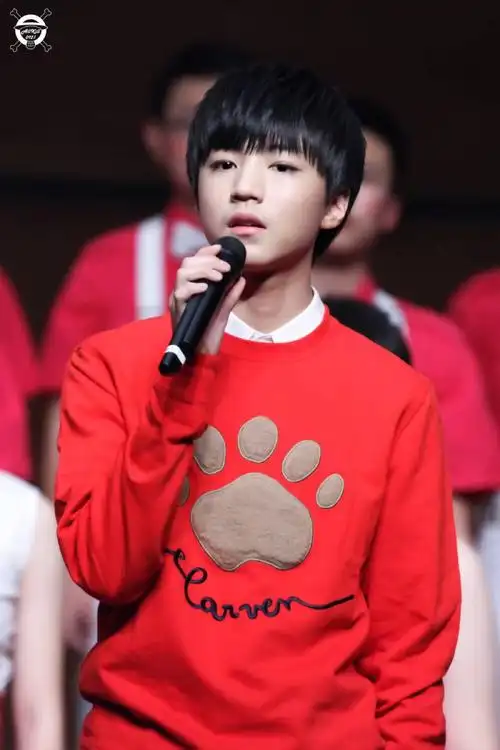 王俊凯 #tfboys王俊凯 #tfboys 重庆八中新年音乐会 高清 美颜 似气