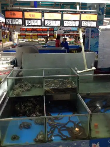 马口店水产陈列图