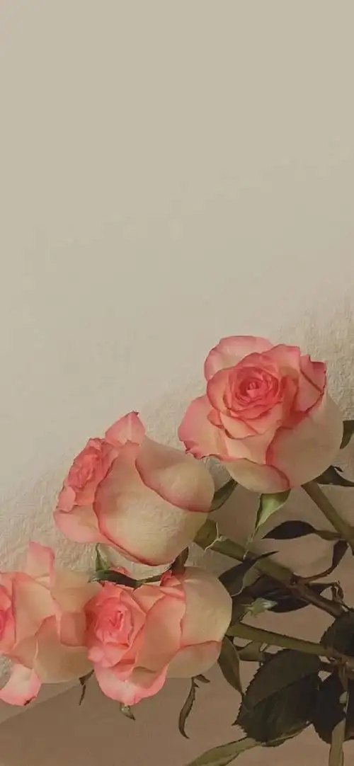 ins风壁纸|背景 - 堆糖,美图壁纸兴趣社区