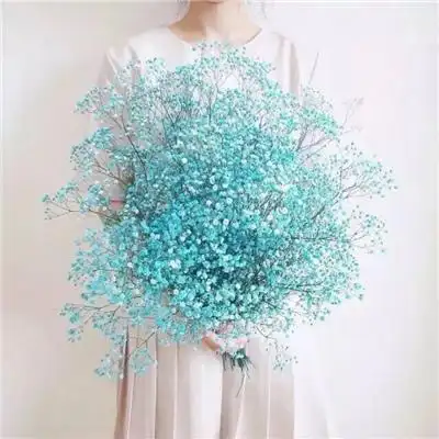 女生手捧满天星头像唯美漂亮2020 安静就好何必自寻烦恼