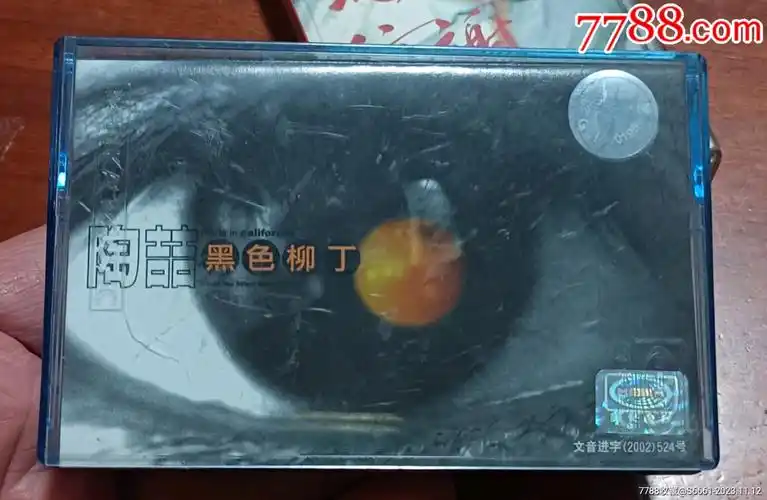 陶喆一一黑色柳丁