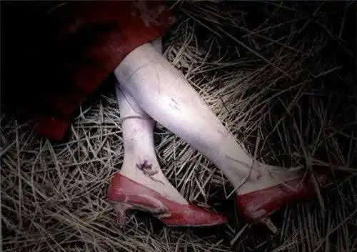 7起凶案的受害者,均是特殊行业年轻女性,从作案手法看,专案组判断为同