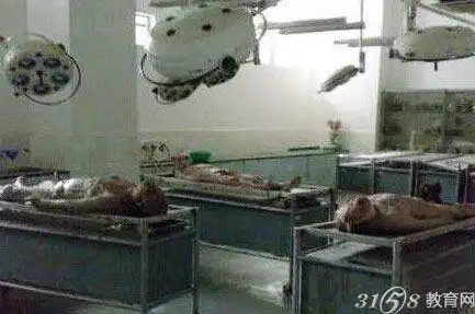 藏尸大学藏尸250具 惊悚现场曝光【组图】