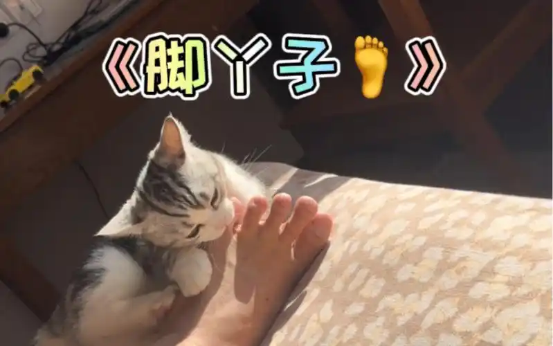 今天一定要舔脚丫子!不让我舔就舔你的!